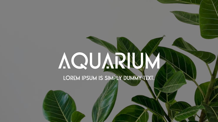 AQUARIUM Font