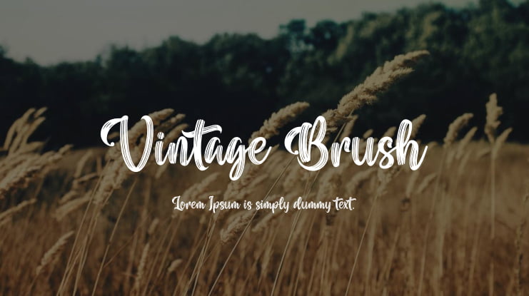 Vintage Brush Font