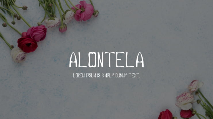 Alontela Font Family