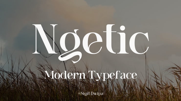 Ngetic Modern Font Family