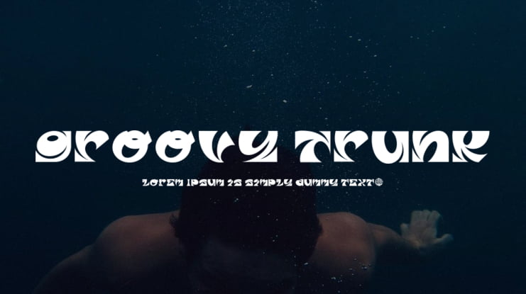 Groovy Trunk Font