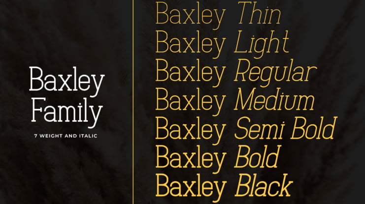 Baxley Font Family