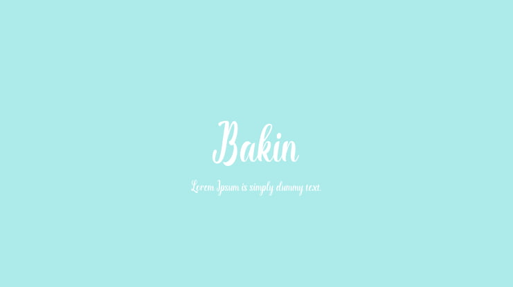 Bakin Font