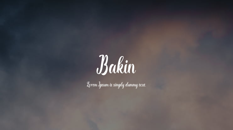 Bakin Font