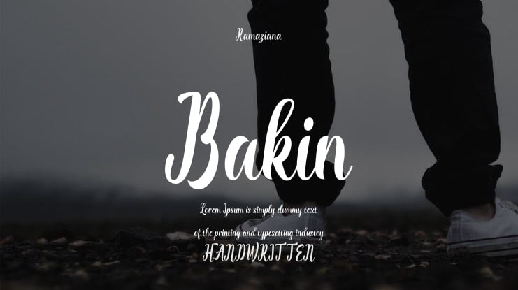 Bakin Font