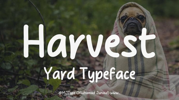 Harvest Yard Font