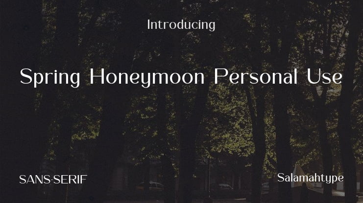 Spring Honeymoon Personal Use Font