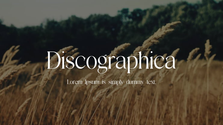 Discographica Font