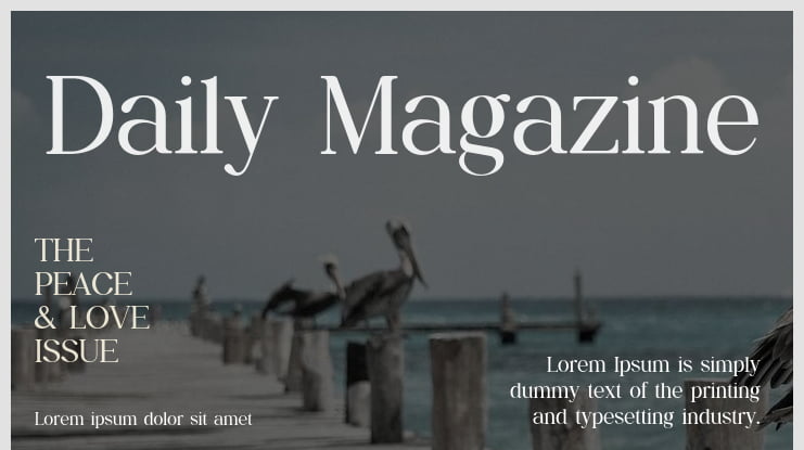 Daily Magazine Font Family