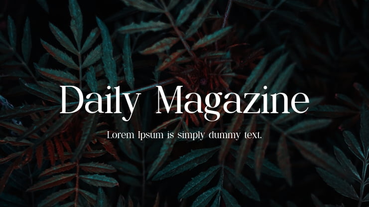 Daily Magazine Font Family