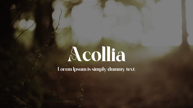 Acollia Font