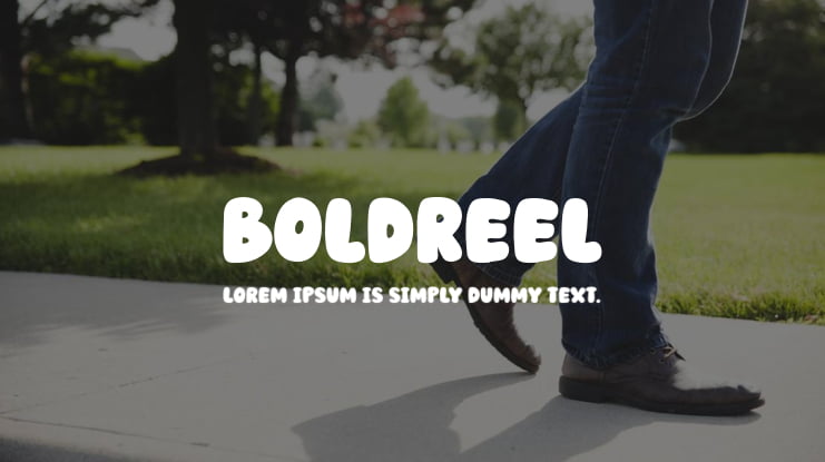 Boldreel Font