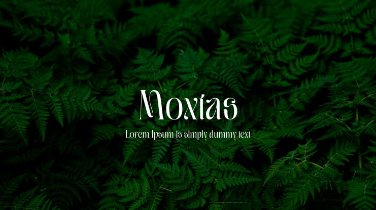 Moxtas Font Family