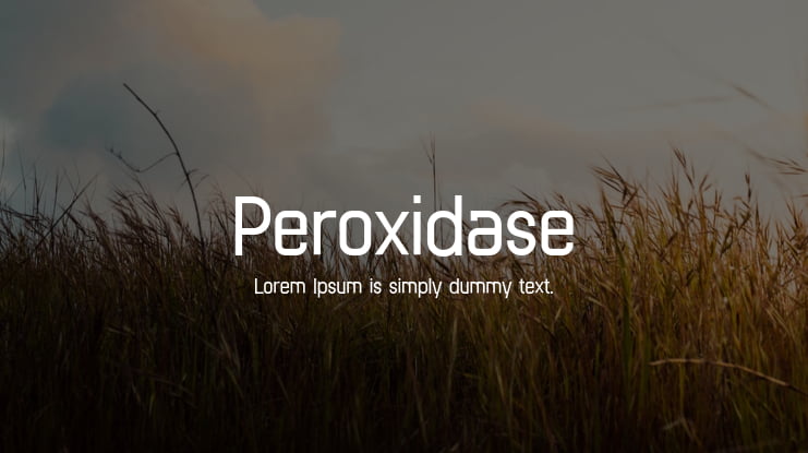 Peroxidase Font Family