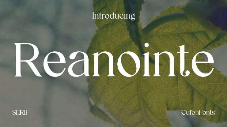 Reanointe Font