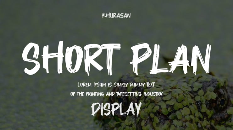 Short Plan Font