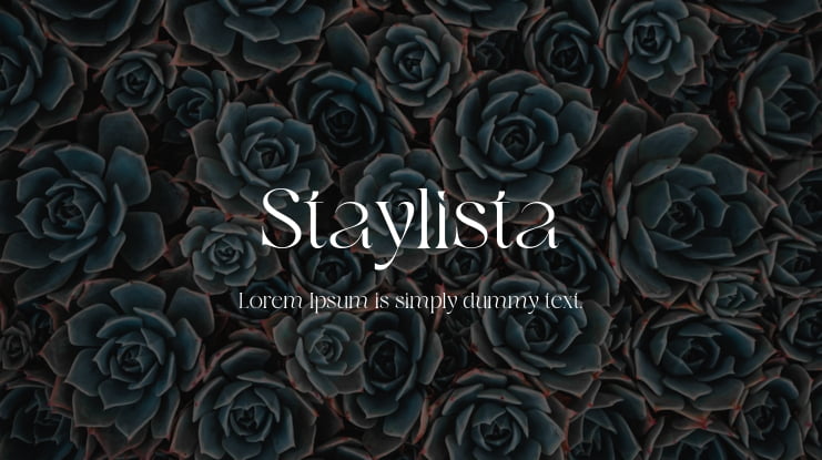 Staylista Font