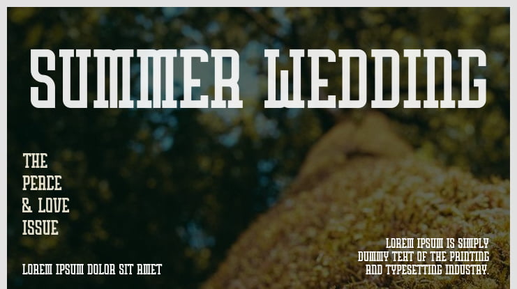 Summer Wedding Font