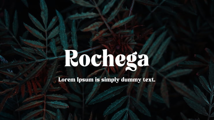 Rochega Font