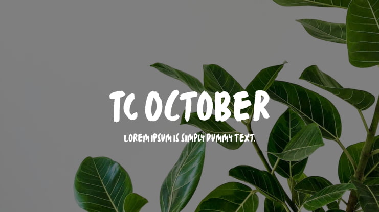 TC October Font