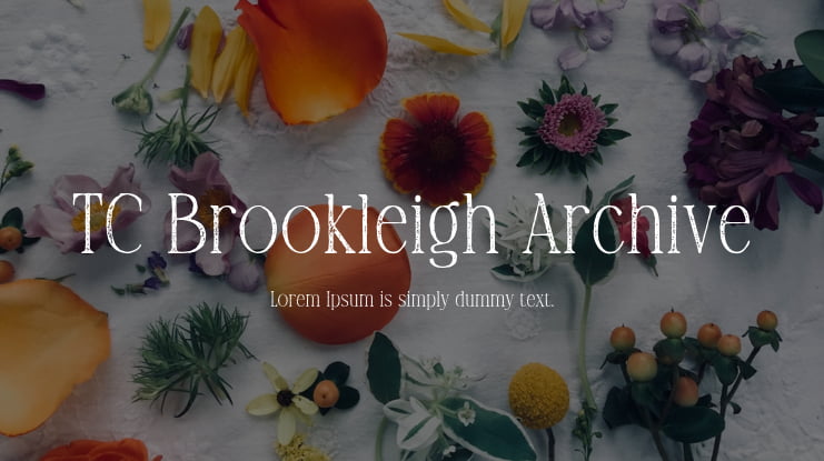 TC Brookleigh Archive Font