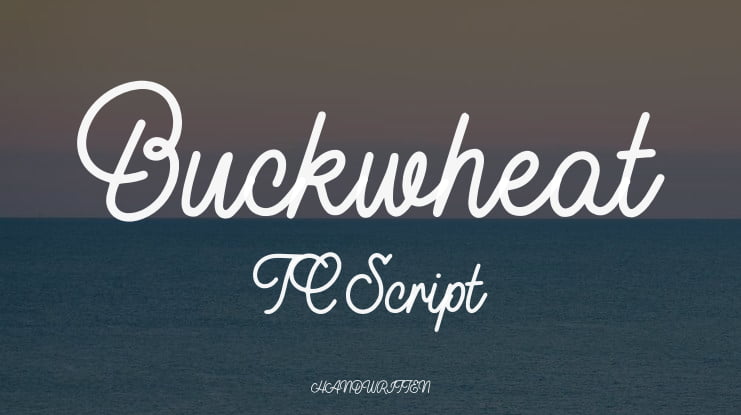 Buckwheat TC Script Font