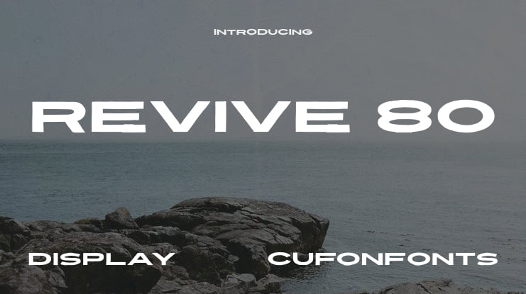 Revive 80 Font