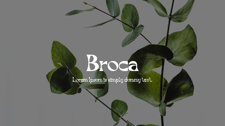 Broca Font