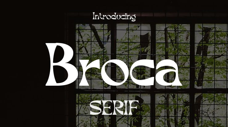 Broca Font