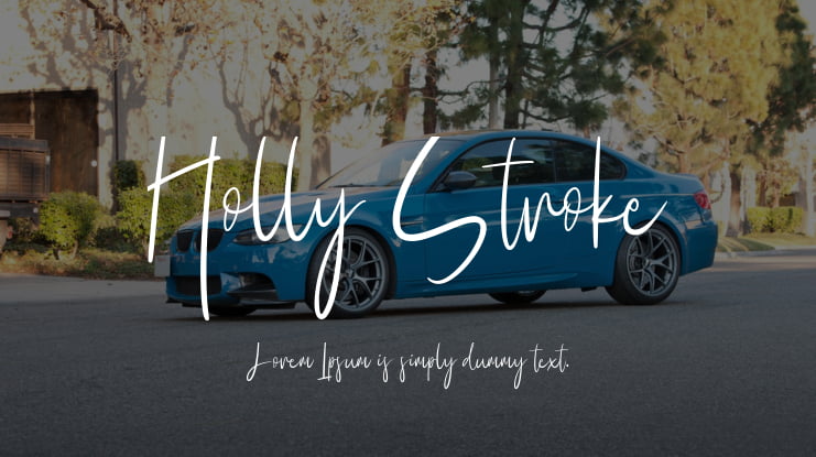 Holly Stroke Font