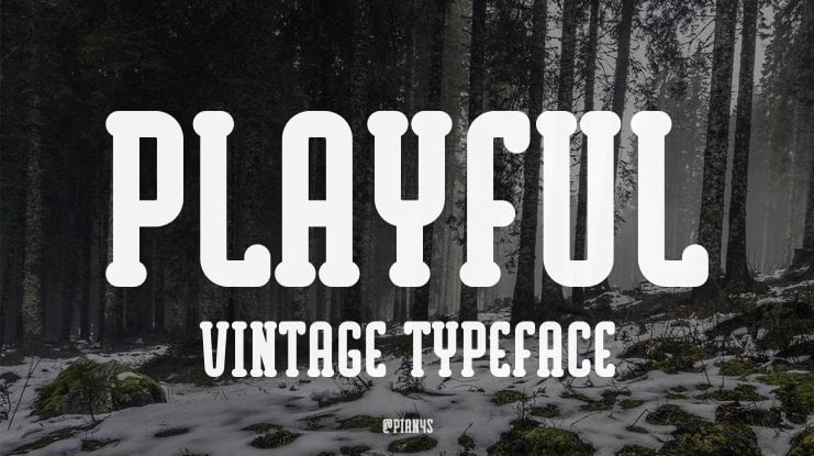 Playful Vintage Font