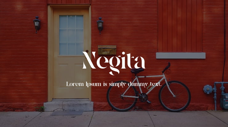 Negita Font