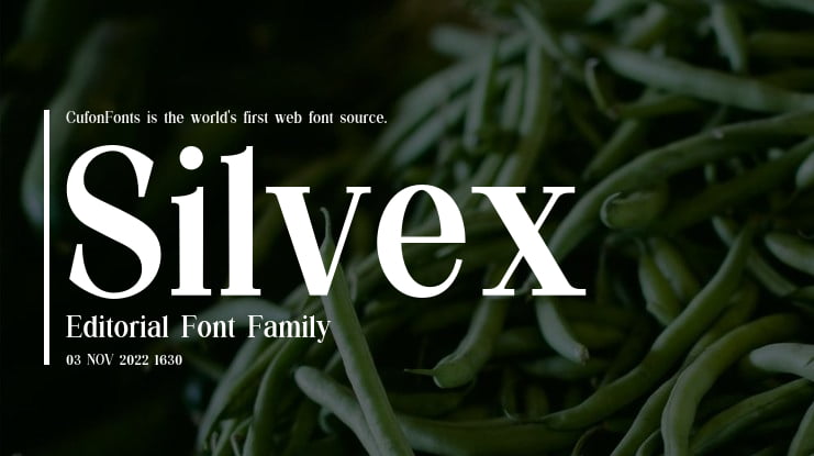 Silvex Editorial Font Family