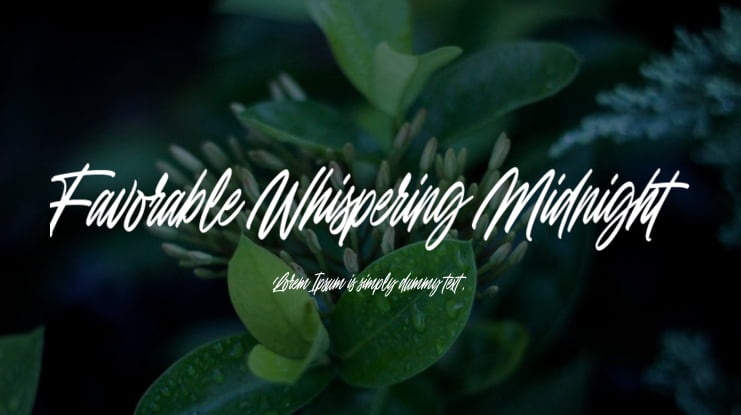 Favorable Whispering Midnight Font