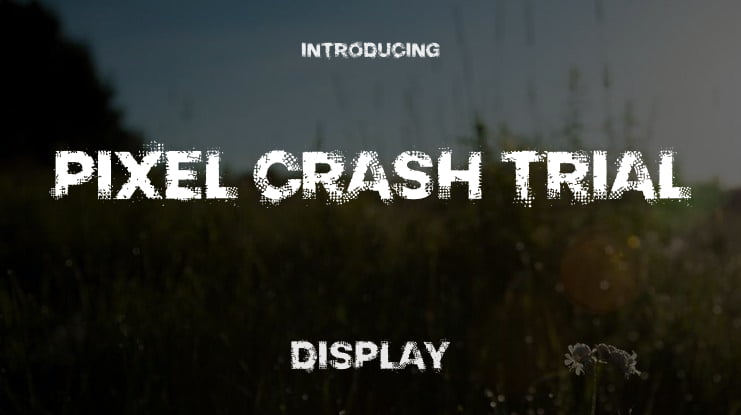 PIXEL CRASH TRIAL Font