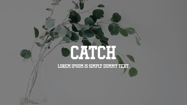 Catch Font