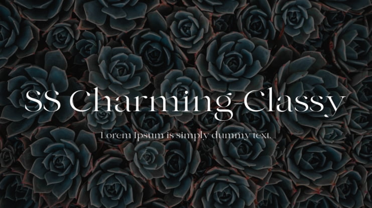 SS Charming-Classy Font