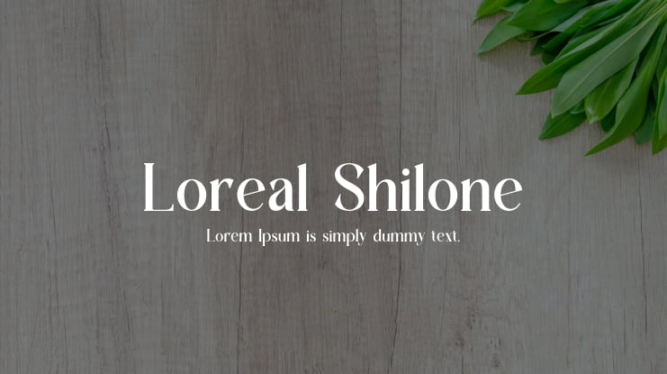 Loreal Shilone Font