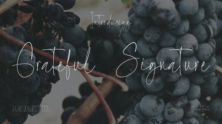 Grateful Signature Font