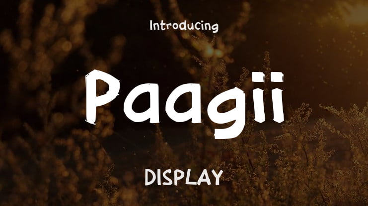 Paagii Font