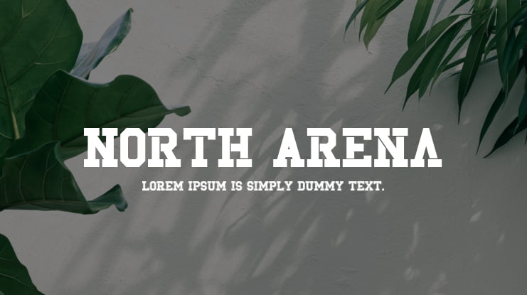 North Arena Font