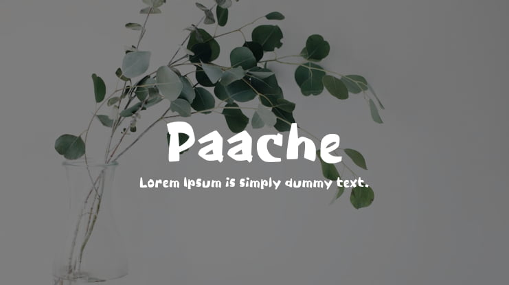 Paache Font