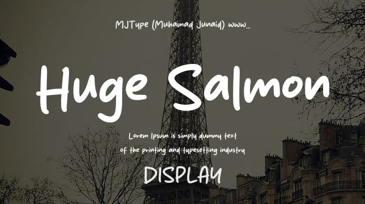 Huge Salmon Font