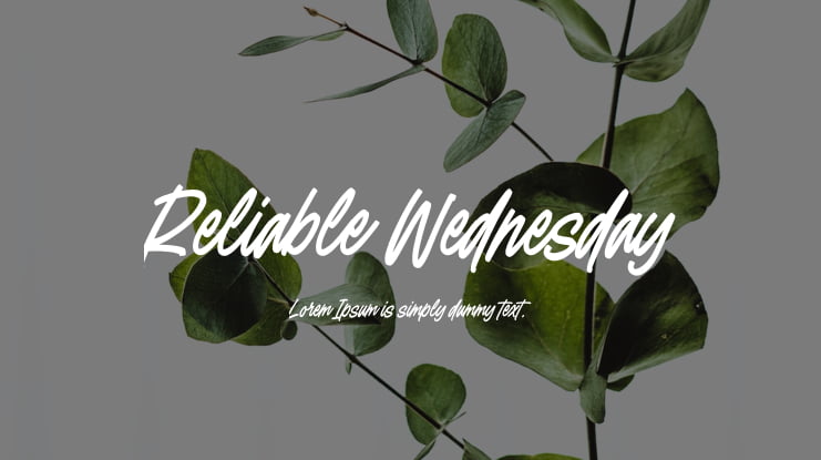 Reliable Wednesday Font