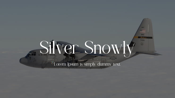 Silver Snowly Font