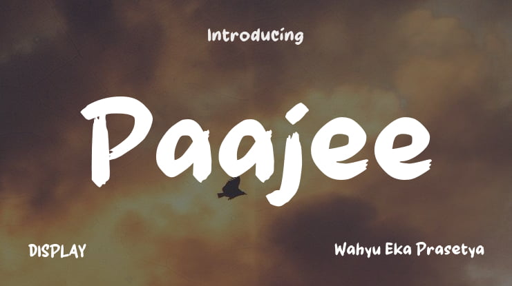 Paajee Font