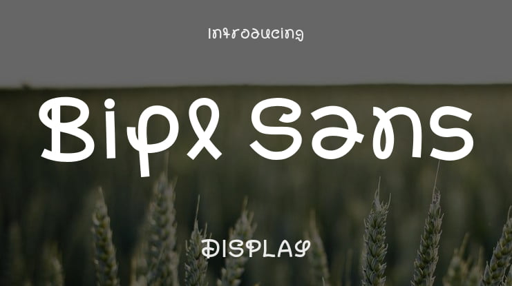 Bipl Sans Font