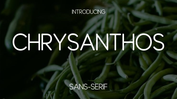 Chrysanthos Font