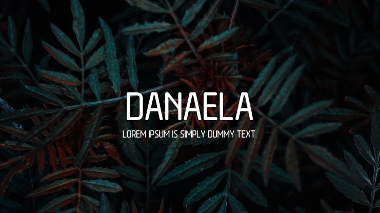 Danaela Font