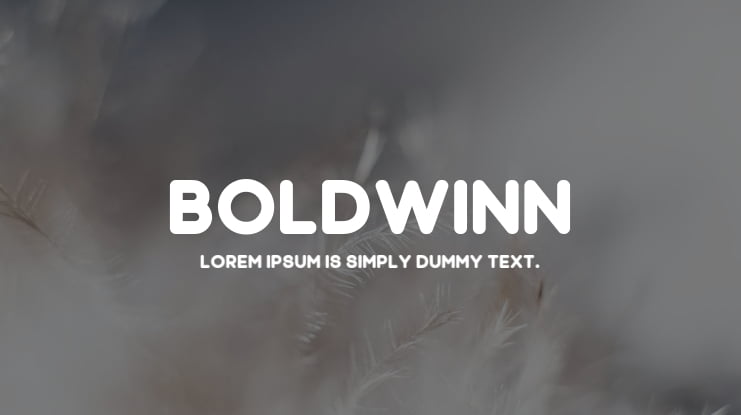 Boldwinn Font